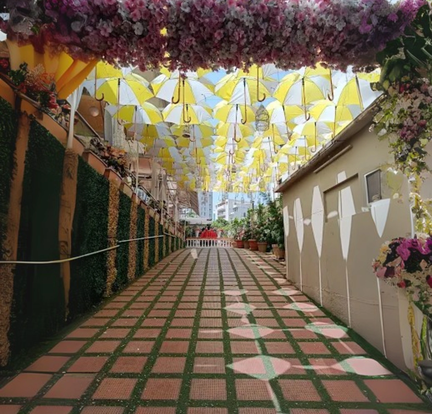 Occasions Lawns Baner